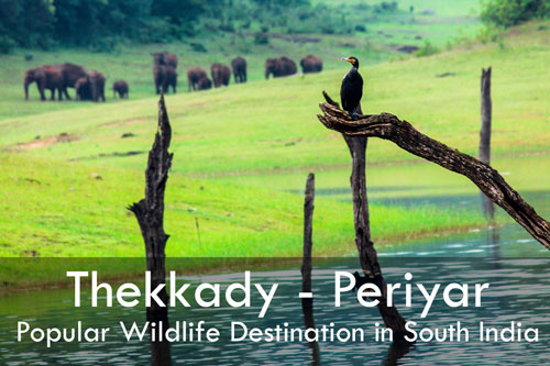Thekkady periyar